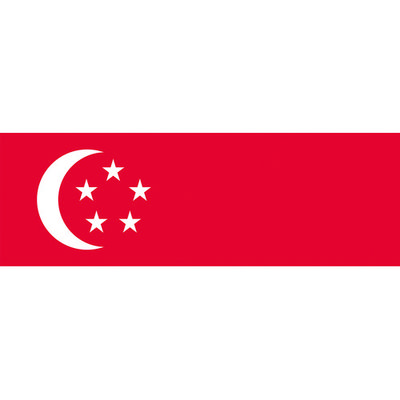 東京製旗 国旗No.1(70×105cm) シンガポール 416326 1枚 207-3713（直送品）