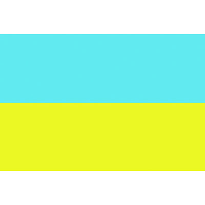 東京製旗 国旗No.1(70×105cm) ウクライナ 416142 1枚 207-3749（直送品）