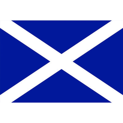 東京製旗 国旗No.1(70×105cm) スコットランド 416351 1枚 207-3764（直送品）