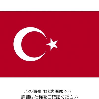 東京製旗 国旗No.1(70×105cm) トルコ 416485 1枚 207-3739（直送品）