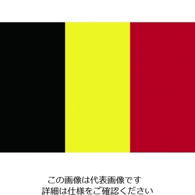東京製旗 国旗No.1(70×105cm) ベルギー 416667 1枚 207-3746（直送品）