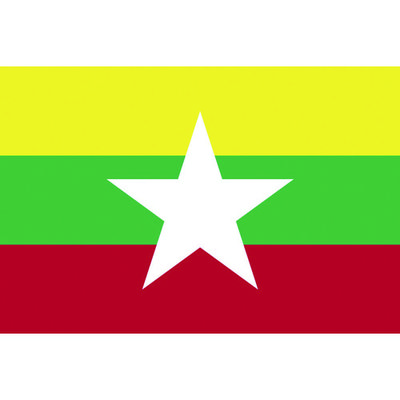 東京製旗 国旗No.1(70×105cm) ミャンマー 416724 1枚 207-3717（直送品）