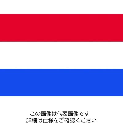 東京製旗 国旗No.2(90×135cm) オランダ 426184 1枚 207-3811（直送品）
