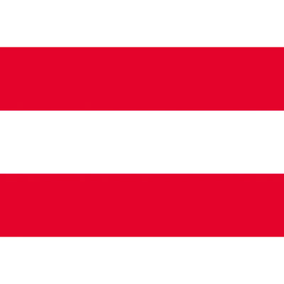 東京製旗 国旗No.2(90×135cm) オーストリア 426182 1枚 207-3822（直送品）