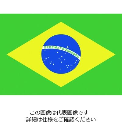 東京製旗 国旗No.2(90×135cm) ブラジル 426646 1枚 207-3806（直送品）