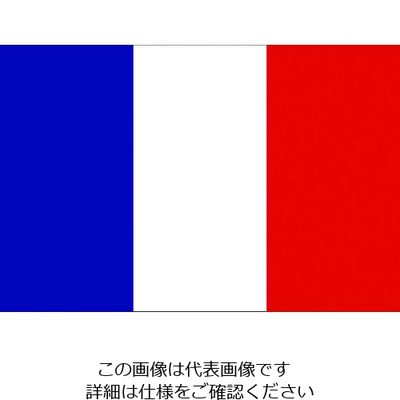東京製旗 国旗No.2(90×135cm) フランス 426647 1枚 207-3777（直送品）