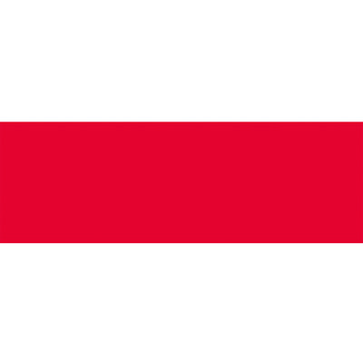 東京製旗 国旗No.2(90×135cm) ポーランド 426682 1枚 207-3813（直送品）