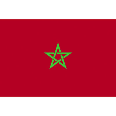 東京製旗 国旗No.2(90×135cm) モロッコ 426786 1枚 207-3843（直送品）