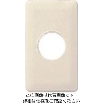 パナソニック Panasonic フルカラーモダン埋込コンプレート・W WN6053W 1セット(10個) 157-9911（直送品）