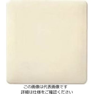 パナソニック Panasonic フルカラーモダンカバープレート2連・W WN6092W 1個 158-6214（直送品）