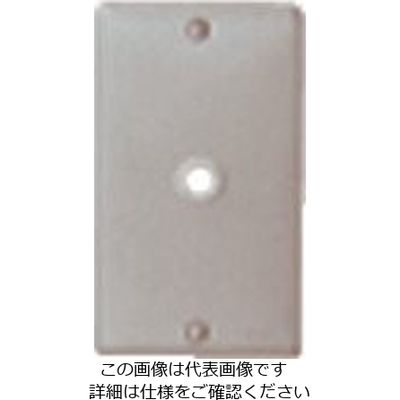 パナソニック Panasonic フルカラー新金属電話線プレート WN7581 1セット(10個) 159-0929（直送品）