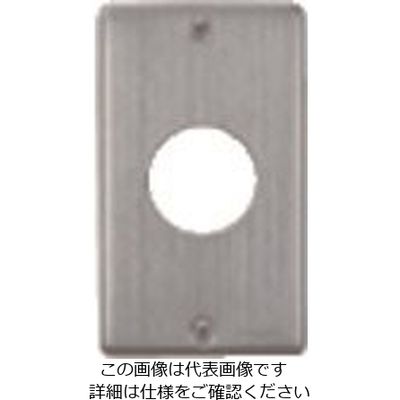 パナソニック Panasonic フルカラー新金属コンセントプレート WN9513 1セット(10個) 158-1535（直送品）