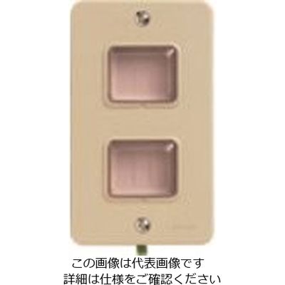 パナソニック Panasonic フルカラー防雨埋込スイッチプレート2コ用 WN7942 1セット(5個) 158-3074（直送品）