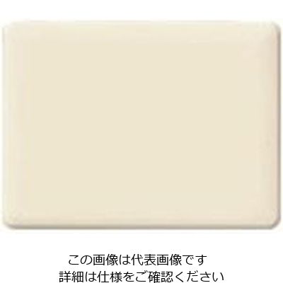 パナソニック Panasonic フルカラーモダンカバープレート3連・W WN6093W 1個 158-9350（直送品）