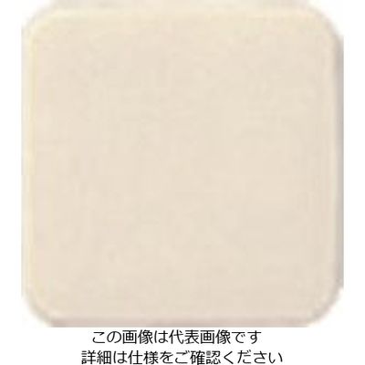 パナソニック Panasonic フルカラーホテル用ミニカバーP1コ用 WNH9191 1セット(10個) 158-4613（直送品）