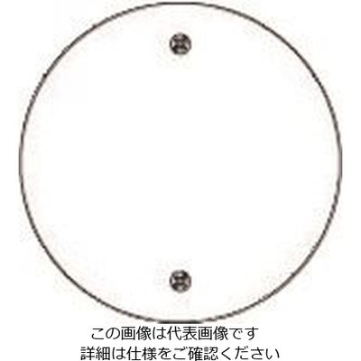 パナソニック Panasonic フルカラー新金属丸型大カバープレート WN8590 1セット(10個) 159-0939（直送品）
