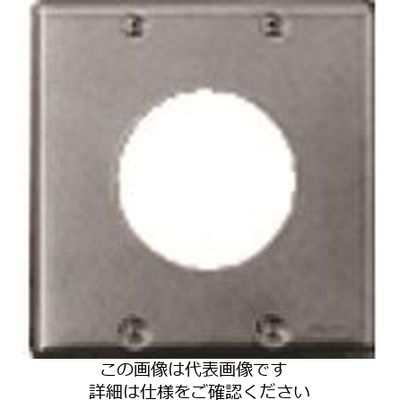 パナソニック Panasonic フルカラー新金属φ58コンセントプレート WN9515 1セット(5個) 157-8373（直送品）