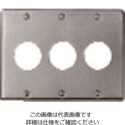 パナソニック Panasonic フルカラー新金属コンセントプレート3連 WN9533 1セット(5個) 158-9402（直送品）