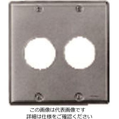 パナソニック Panasonic フルカラー新金属コンセントプレート2連 WN9523 1セット(5個) 158-1518（直送品）