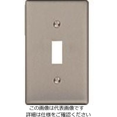 パナソニック Panasonic 埋込スイッチ新金属プレート WS9561 1セット(10個) 158-6229（直送品）