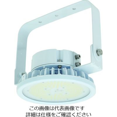 日動工業 NICHIDO ハイスペックハイディスク70W 電源装置内蔵型 昼白色 吊下げ型 ワイド L70B-P-H110-50K 1台（直送品）