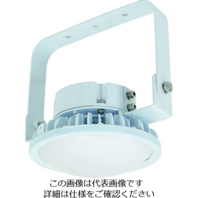 日動工業 NICHIDO ハイスペックハイディスク70W 電源装置内蔵型 昼白色 吊下げ型 乳白 L70B-P-HM110-50K 1台（直送品）