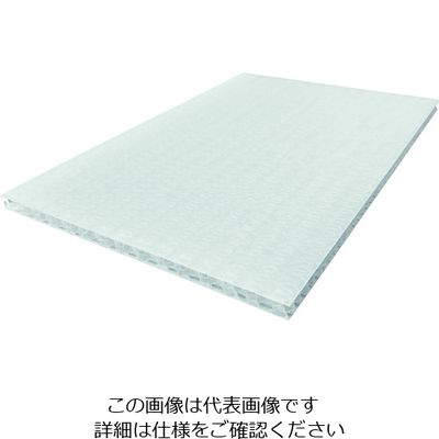 岐阜プラスチック工業 リス テクセル10mm樹脂板 633756 樹脂製中空ボードナチュラル450X600 T10-450X600 1枚（直送品）