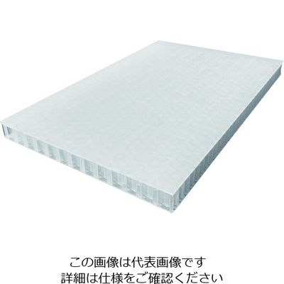 リス テクセル20mmカット品 633794 TECCELL樹脂製中空ボードナチュラル600X900 T20-600X900 1枚（直送品）