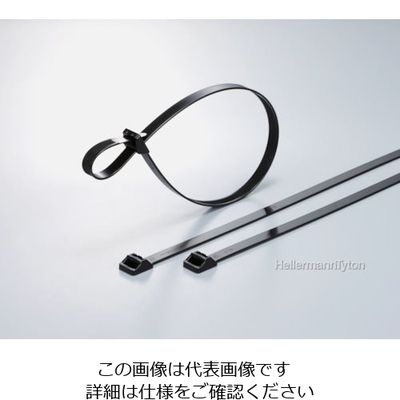 ヘラマンタイトン ラッシングタイ RT250タイプ 幅12.5×長さ515mm RT250R-W 1袋(25本) 850-3839（直送品）