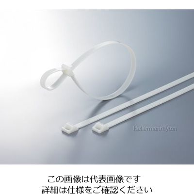 ヘラマンタイトン ラッシングタイ RT250タイプ 幅12.5×長さ880mm RT250L 1袋(25本) 850-3834（直送品）