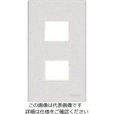 パナソニック Panasonic コスモシリーズコンセントプレート2コ用 WTF8002W 1セット(10個) 159-7241（直送品）