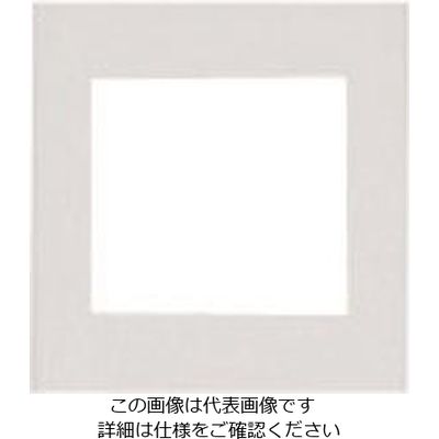 パナソニック Panasonic ワイド21コンセントP簡易耐火2連接穴 WTF8570W 1セット(10個) 159-2508（直送品）