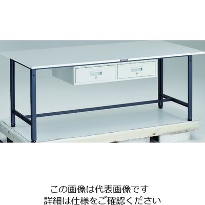 TRUSCO 軽荷重作業台(300kg)AE型 1800X900XH740 2列引出し付 ダークグレー色 RAE-1809FL2 DG 1台（直送品）