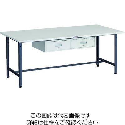 TRUSCO 軽荷重作業台(300kg)AE型 1200X750XH740 2列引出し付 ダークグレー色 SAE-1200FL2 DG 1台（直送品）