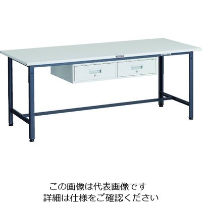 TRUSCO 軽荷重作業台(300kg)AE型 1800X750XH740 2列引出し付 ダークグレー色 SAE-1800FL2 DG 1台（直送品）