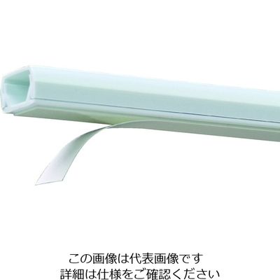 トラスコ中山 TRUSCO テープ付き壁面用配線カバー 1号 ホワイト 幅16mmX1m WMC1-W 1個 207-5352（直送品）