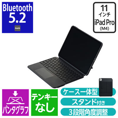 iPad専用ケース付き キーボード 11インチ iPad Pro (M4)用 着脱可能 黒 TK-CA10BPBK エレコム 1個（直送品）