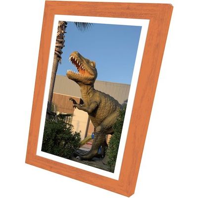 ブレイン 飾るアート非常用トイレ(大)10回分+アートポスター12種セット Aタイプ BR-ATT200-A 1セット(4個)（直送品）