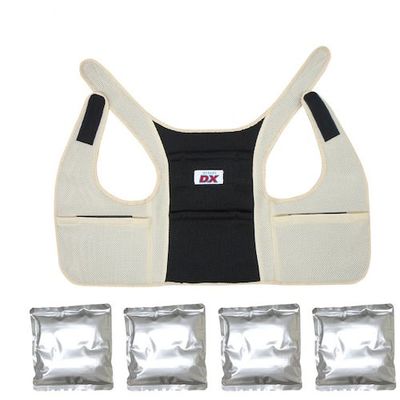 ブレイン アイスバック(R)DXデラックス(アルミ保冷剤4個付)ベージュ BR-551-BE 1式 651-3129（直送品）