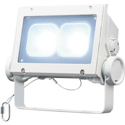 岩崎電気 岩崎 LED投光器(80クラス、超広角タイプ、昼光色タイプ) ECF8040SW/DSAN8/W 1台 406-2422（直送品）
