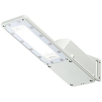 岩崎電気 岩崎 LED防犯灯(20VA 自動点滅機能なし) E70066SAN9 1台 651-1614（直送品）