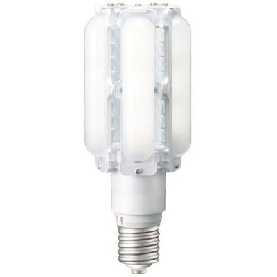 岩崎電気 岩崎 LEDライトバルブ 60Wランプ(昼白色) LDTS60N-G-E39A 1本 670-1015（直送品）