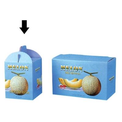 ギフト箱 紙箱 ビゲストメロン 1個用 00422714 1ケース(100個(10個×10))（直送品）