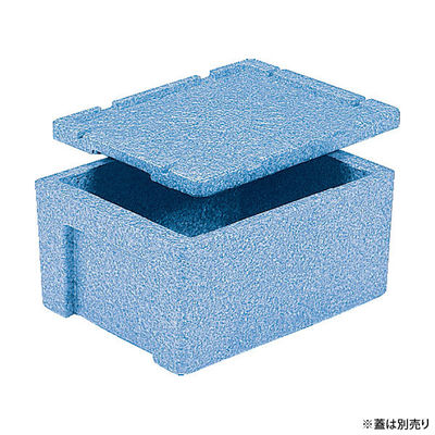 三甲 保存箱 EPボックス#20 00475981 1ケース(10個)（直送品）