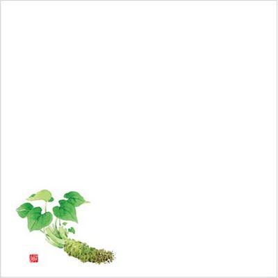 カミイソ産商 敷紙 耐油天紙 5寸 No.0039 山葵 00534702 1袋(100個)（直送品）