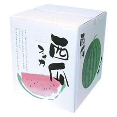 ギフト箱 スイカ箱 特大 00572781 1ケース(20個(10個×2))（直送品）