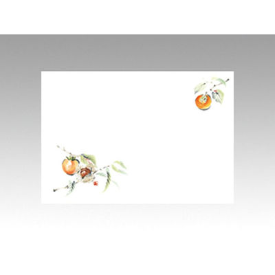 カミイソ産商 テーブルマット 尺3寸 No.9223 柿 72009223 1袋(100個)（直送品）