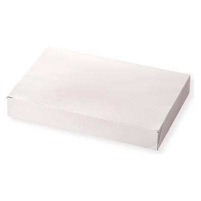 アヅミ産業 仕出し弁当容器 TSA-90-60 白 ワンピース TSA9060WH-1 1ケース(300個(50個×6))（直送品）