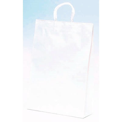 パックタケヤマ 紙手提袋 ST2才 白無地 XZT00795 1ケース(200個(50個×4))（直送品）