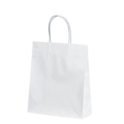 パックタケヤマ 紙手提袋 STB プリティ 白 XZT00805 1ケース(100個(10個×10))（直送品）